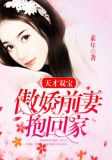 天才双宝:傲娇前妻抱回家