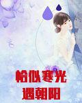 恰似寒光遇朝阳