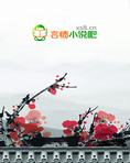 邪王轻点爱:枭宠医妃