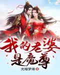 魔尊老婆是天帝