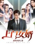 上门女婿电视剧演员表