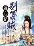 盗心记:别喊捉贼