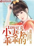 迫嫁豪门:小妻子,乖乖的