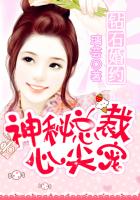 钻石婚约:神秘总裁心尖宠 txt