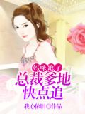 妈咪跑了:总裁爹地快点追