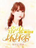 一瘾成婚:帝少坏坏爱