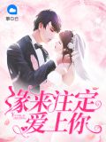 缘来注定爱上你夏君心
