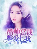 一夜迷情:酷帅总裁爱上我
