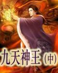 九天神王(中)1
