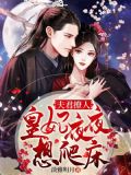 夫君撩人:皇妃夜夜想爬床