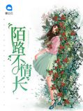 陌路不情长宋青葵顾西冽
