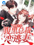 婚情不负:腹黑总裁恋逃妻苏可歆顾迟
