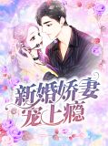 夜少偷心小娇妻
