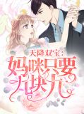 天降双宝:妈咪只要九块九陆霆琛