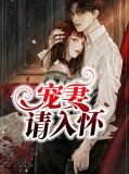 宠妻请入怀简安安