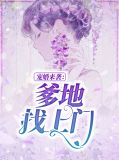宠婚来袭:爹地找上门沐晴天景司寒