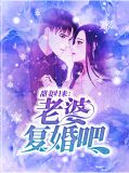 甜妻归来：老婆复婚吧洛宁夕阎厉珩