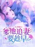 天才萌宝:爹地追妻要趁早白臻傅时礼