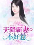 天降霸妻不好惹陆寒霆