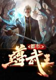 都市至尊武王赵天豪方静云