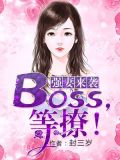 强妻来袭:BOSS,等撩!