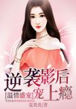 温情盛宠之逆袭影后宠上瘾