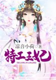 特工王妃