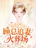 天降六宝:顾总追妻火葬场