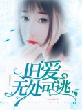 旧爱无处可逃封易