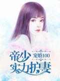 宠婚100:帝少实力护妻