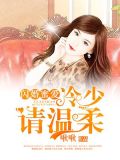 闪婚蜜爱:冷少请温柔