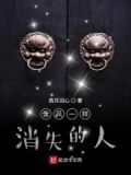 像风一样消失的人