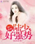 豪门隐婚:陆少,好强势