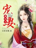 重生之宠妻