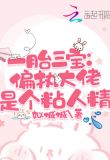 一胎三宝:偏执大佬是个粘人精