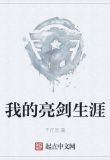 我的亮剑生涯