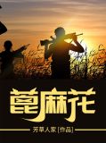 蓖麻花陈静水