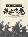 铁血飞扬(又名:狼烟三八线)