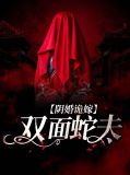 阴婚诡嫁:双面蛇夫齐夜