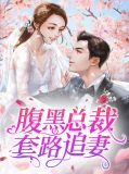 腹黑总裁套路追妻阮眠楼蕴年