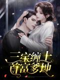 三宝缠上首富爹地凤柒柒夜肆深