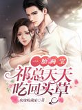 一胎两宝,祁总天天吃回头草