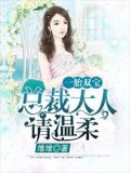 一胎双宝:总裁大人请温柔