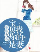 重生九零:宝贝,你是我的妻