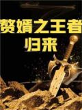 赘婿:我真的是万古大帝