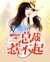 一夜撩情:总裁惹不起漫画
