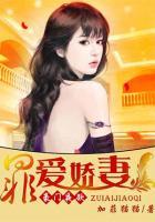豪门夜欲:罪爱娇妻