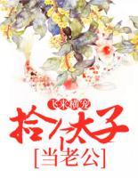 飞来横宠:捡个太子当老公