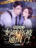 神探萌宝妈咪你被通缉了