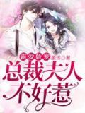 霸爱娇宠:总裁夫人不好惹